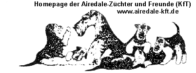 Airedale-Kft